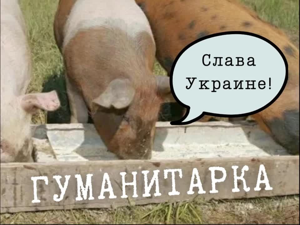 ����� ��������������� �������� ������� ��������� ����������� ����������, ������� ������������ ��������������� �� �� ������ �� ��