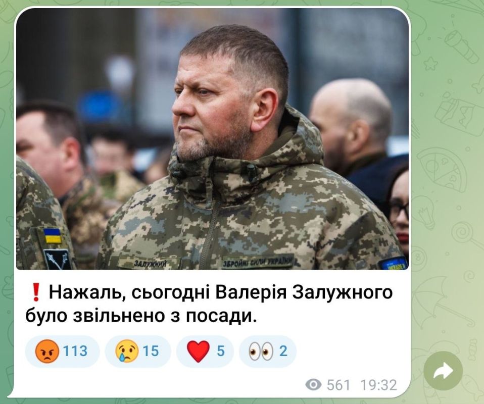 �������� ���