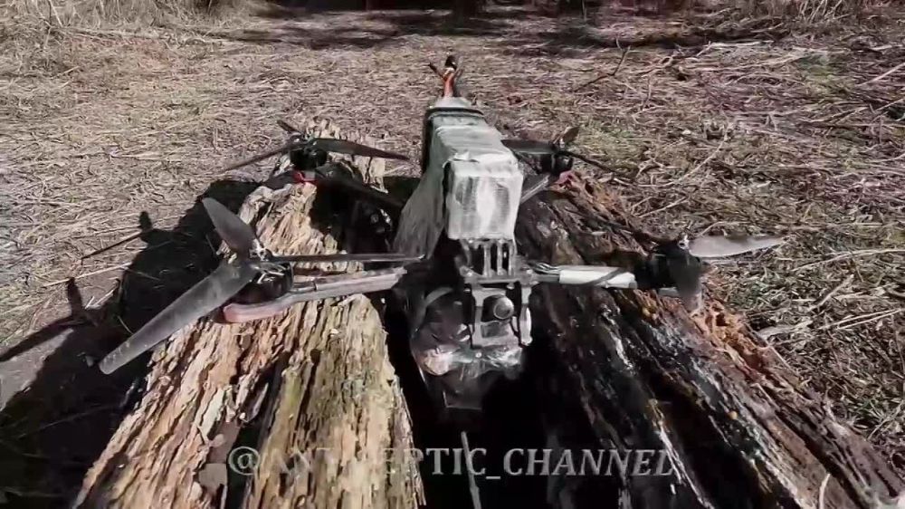 ���������� ������ ����� ���������� FVP-������ �� ���������� ����������� �� ��������� ��������������� ������� ���