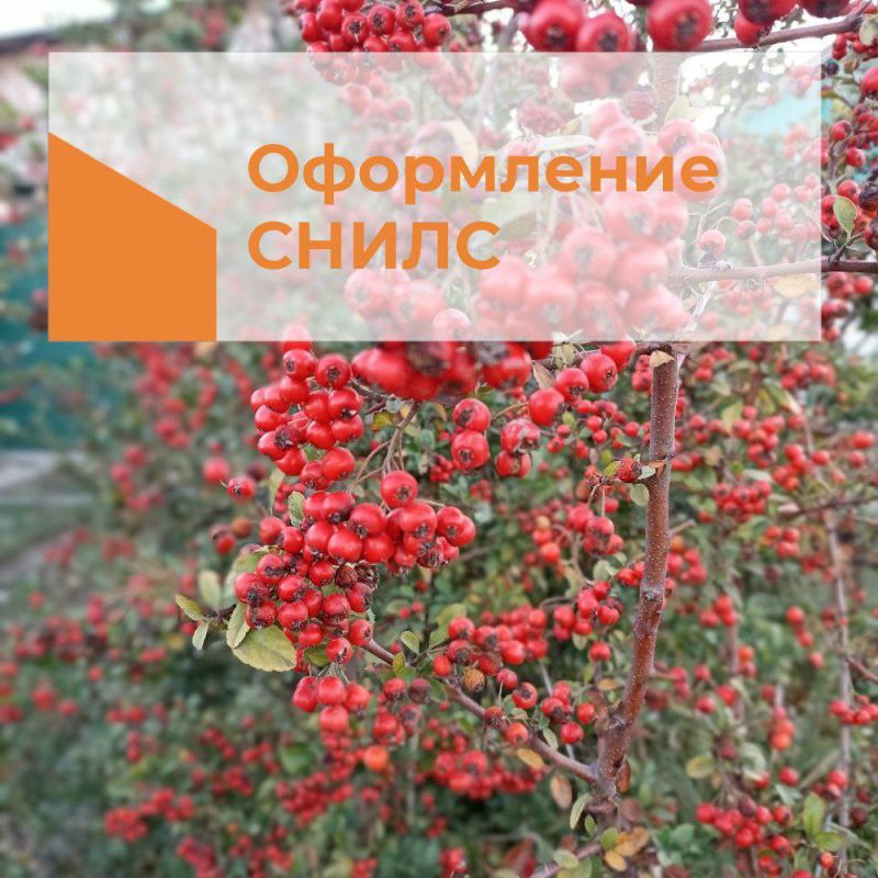 ������� �������������!. � ������������� ������������� ����������� ����� ����� ���������� ��� ���������� �����. ��� ����� ��������� � ��������� ���������� ���������� ���������