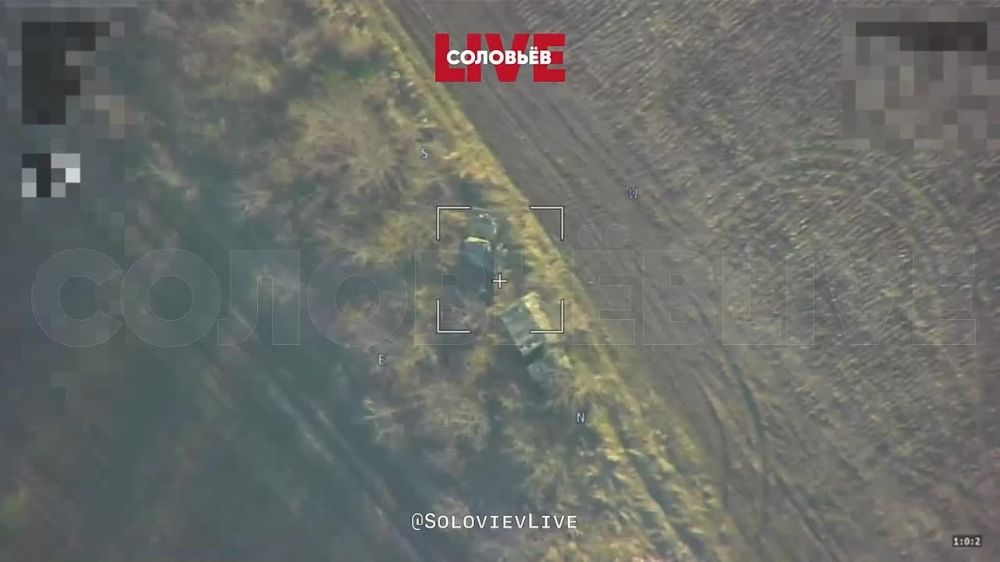 ���������. ����������� ���������� ����������������� �113 ������� �� �� �� ���������� �����������