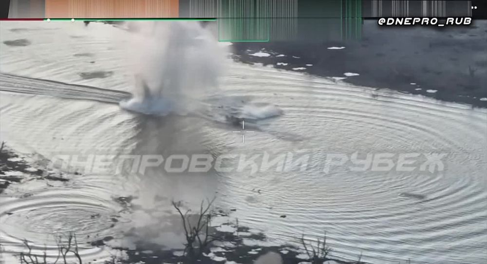 ����������� ����� "�����". ���������� �����������, ����������� �����