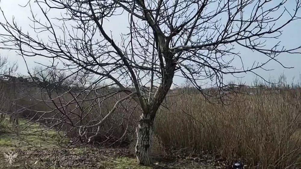 ���������� �������� �������� ����� � ������