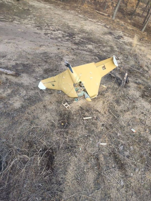 ����-��������� ���� ������ �� ���������� � ���������� �������������� ����