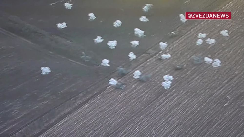 ����� �����: ����� �������� ������ ���������� ����������� � ��� � ������ ��������� � ����� ������������ ����������� �����