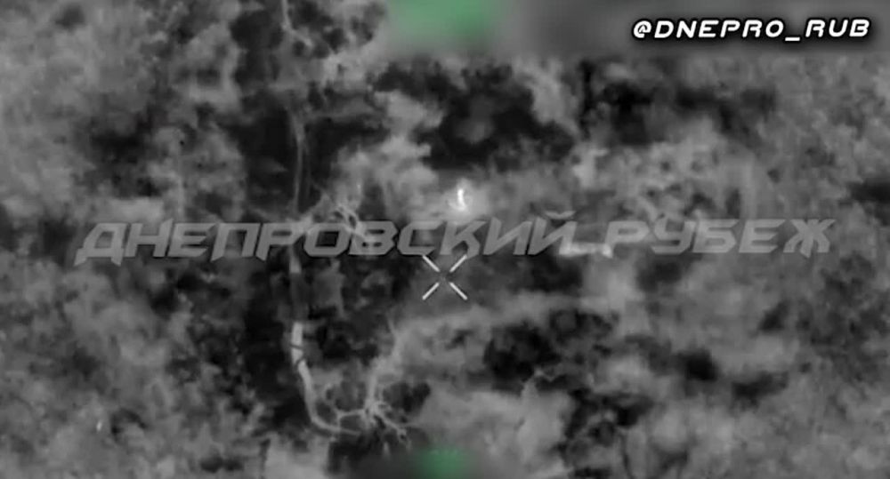 ����������� ����� "�����". ���������� �����������. ������ ����� ������. �.� �������