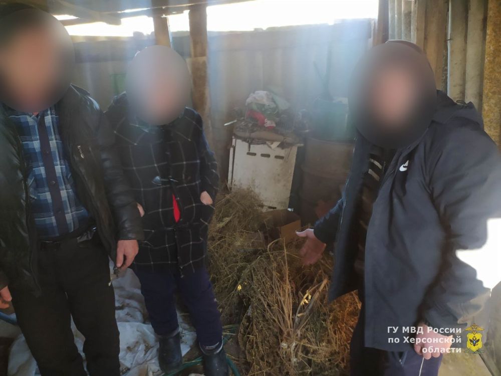 � �������������� ������ ����������� ���������� � ������������ �������� ������ ������������ ������� � ����������� ������� ���������