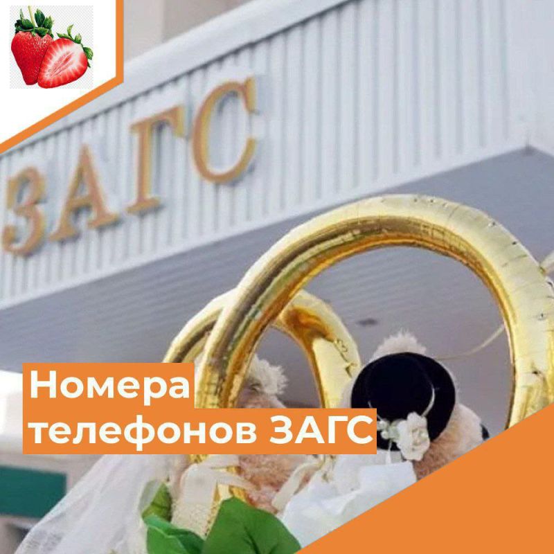 ����� �������� ���� �. �������� +79902044082