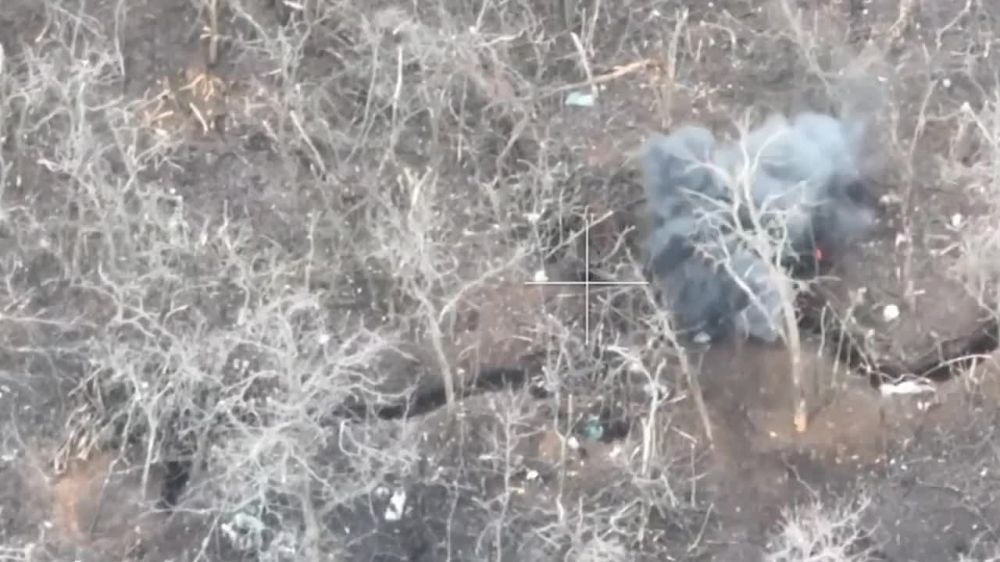 ��������� FPV ������ ���������� ������� � ����� ���� ���������� � ������ �����������