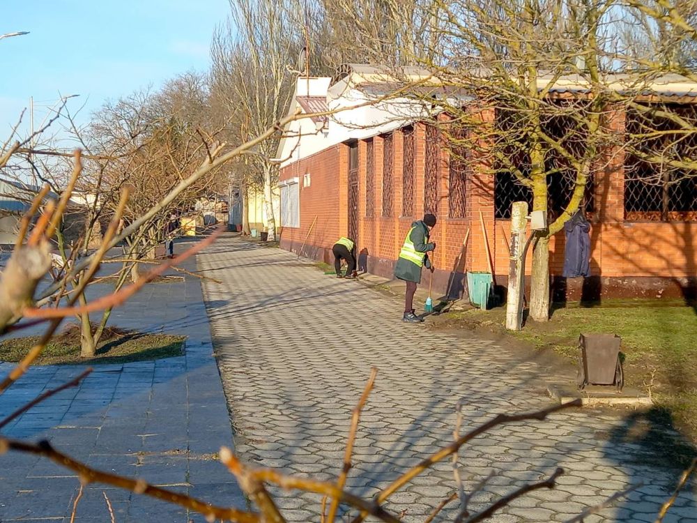 ��������߻ ������� �������