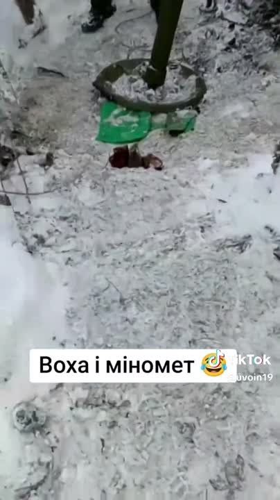 ��� ������������� ������������� �����������?