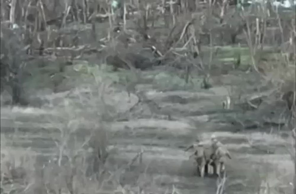 ��������� �����: � ����� ���������� �������� ������ ��������� � ����