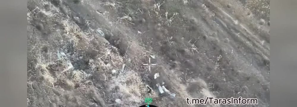 ����� �����: ������ ���������� ���� �� �� �� ���������� �����������