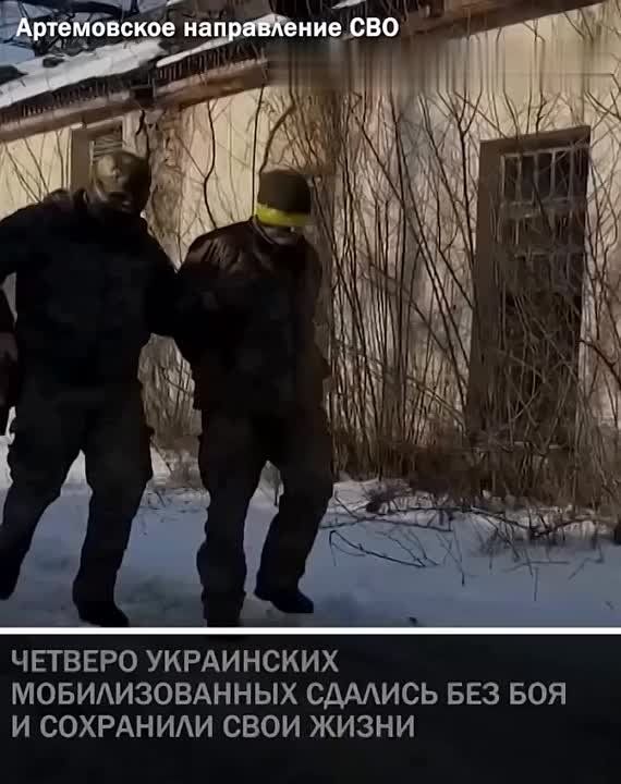 ���������� ����� �� ����������� ����������� ������ ������� ����� �������� ������ ���������� � ��������� � ���� ������� ���������� ��������