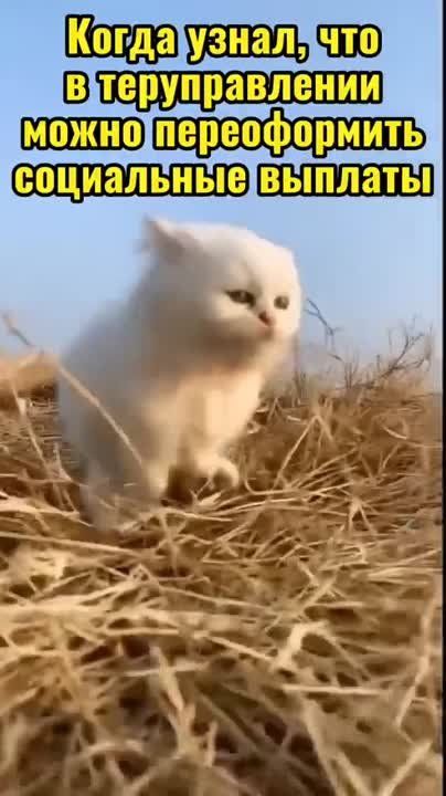 #������������