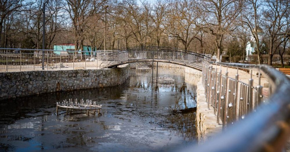 � ����� �������� ������� ������ ���� �������������