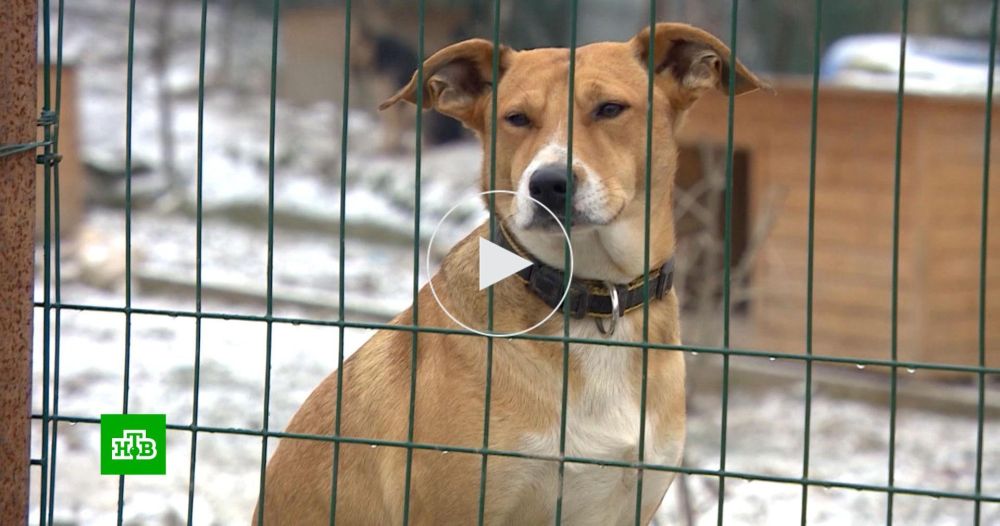 ������ ����� ����������� ����� ��� ����� �� ���� ������������