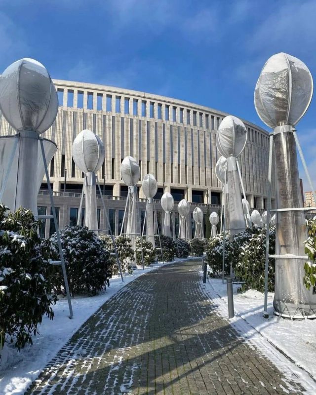 ���� ���������, ���������