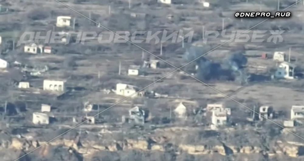 ����� �����: ����������� ����� "�����". ���������� �����������. ������ ����� ������