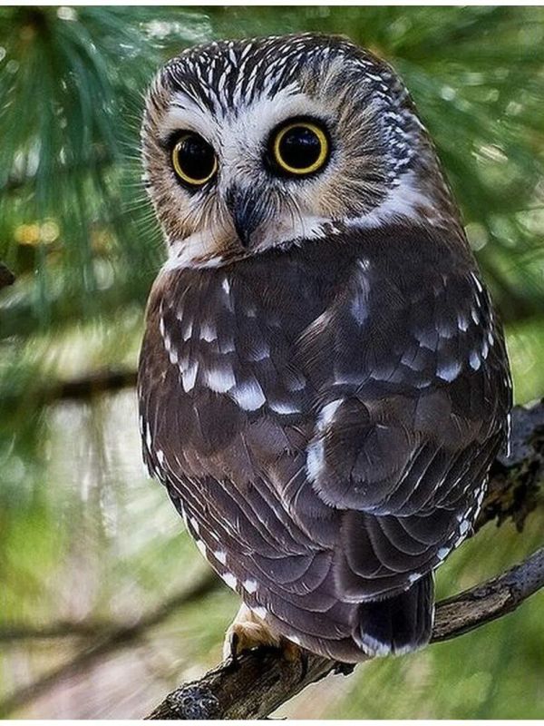 ����������!. � ������ �������� ����