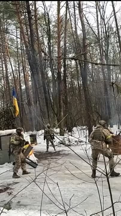 ���� � ���� �����, ������ ������� � ������������ ��� ���: