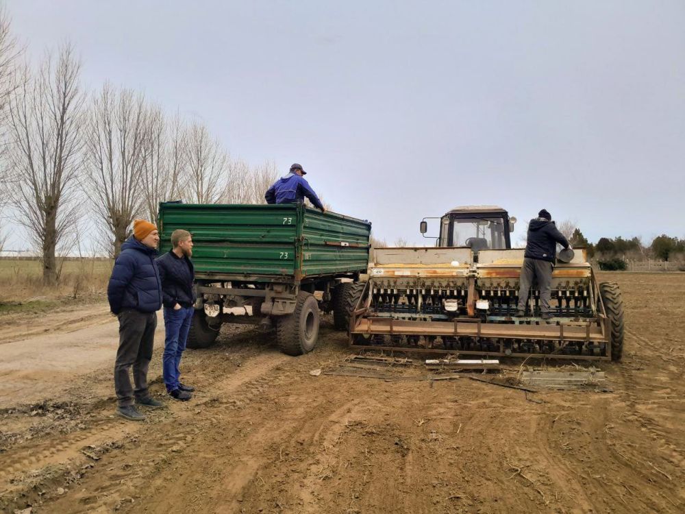 ������� ����������� ������ ����� ������� ������