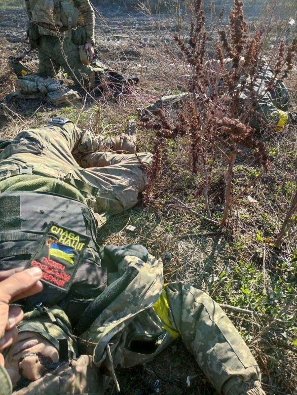 �����. . �������� ������ �������� ��� � ������ ������. ��������� ������������ ����