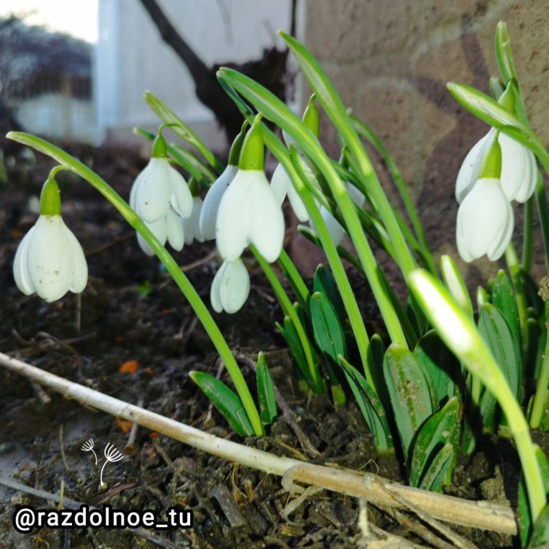 ����������!. ����� ���� �������� � �������