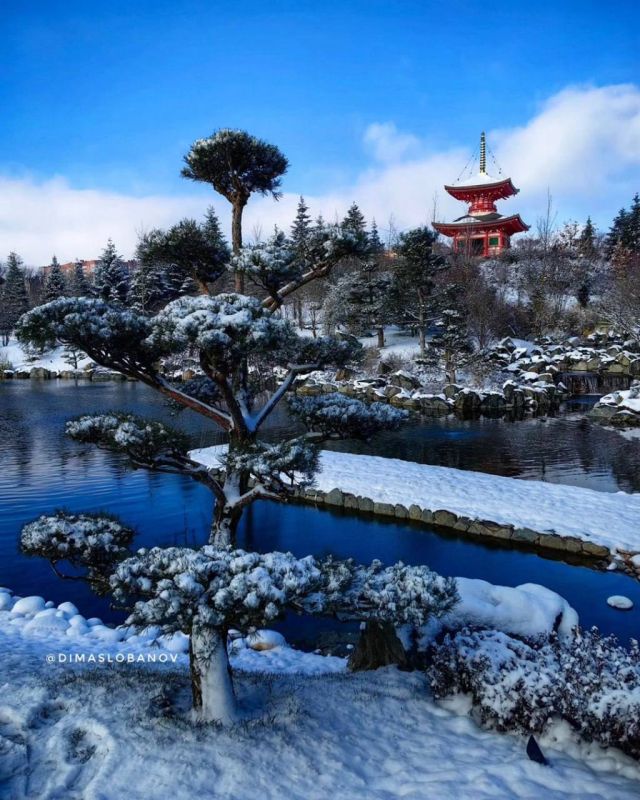 ���� ���������, ���������