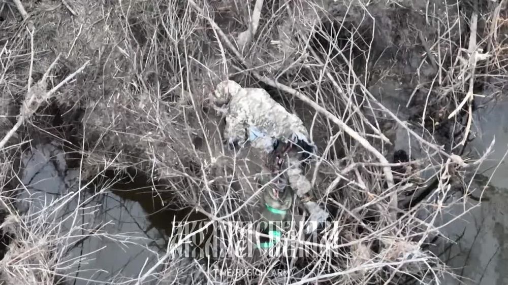 ����� �����: ���������� �����������, �.�. ������