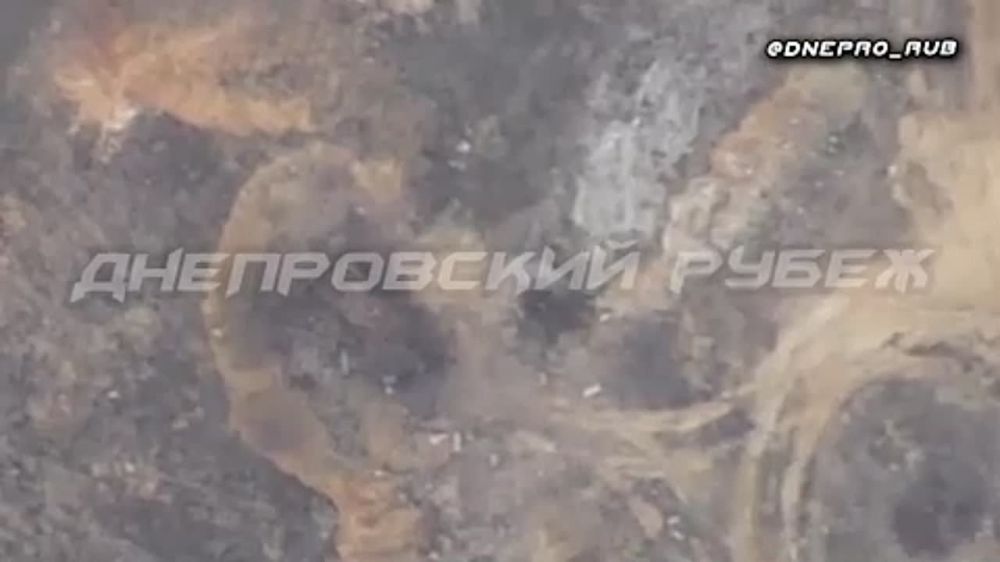 ����������� ����� "�����". ���������� �����������. ���� �.�. �������