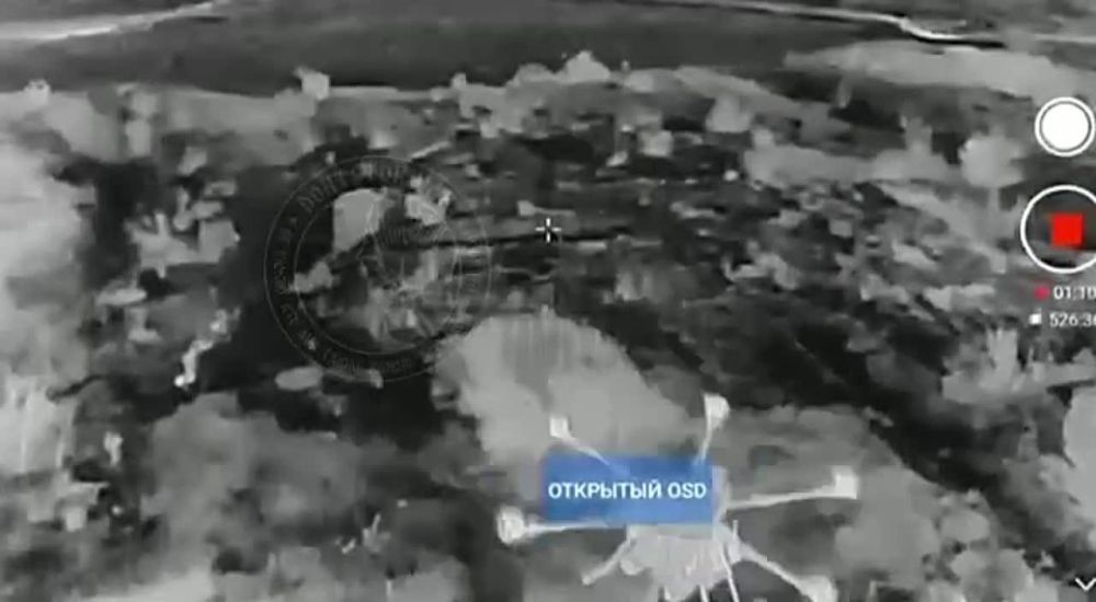 ����� �����: ���������� �����������. ��� ���� ����������� ������, ����� ����� ����� ���