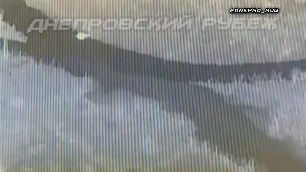 ����������� ����� "�����". ���������� �����������. ���� �.�. ����������