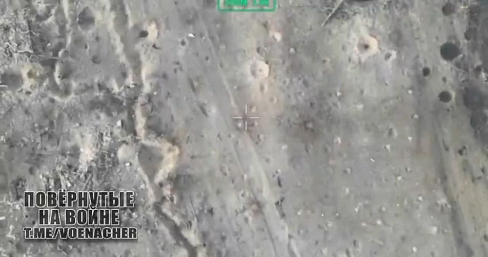 ������� ����� ��������� �������� � ������ ������