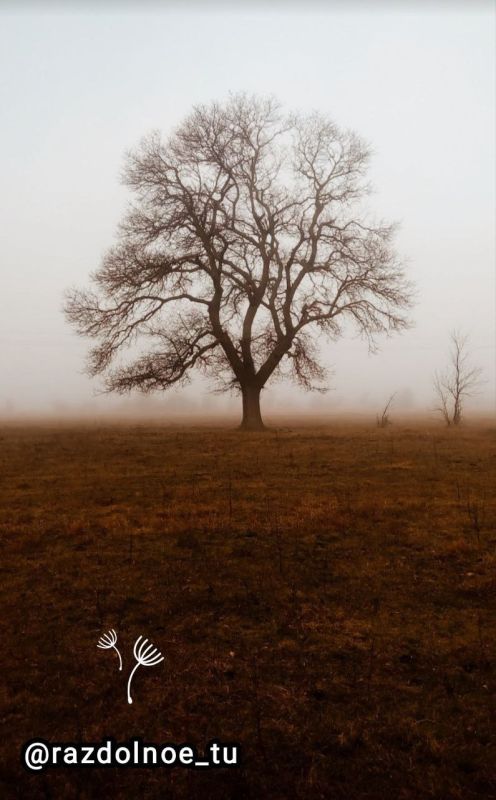 ���� ����������� � ��� ���������