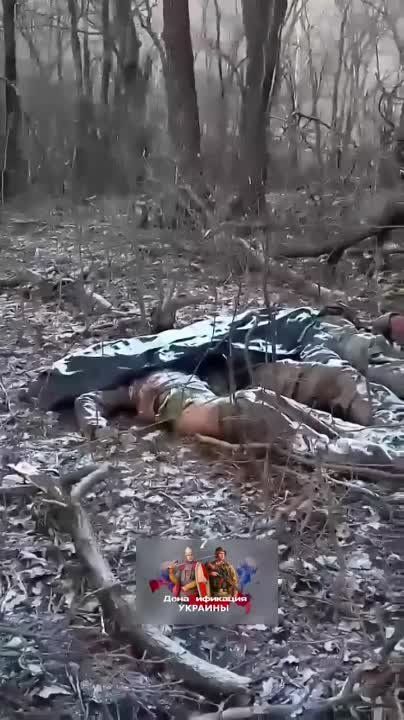 ������ ������� ���. ���������� �������������� ��� � ��� ���� ����������� �������� �� �������