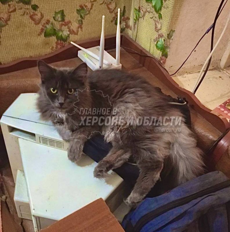 ��� ���� � ������� ������� ��������� � ������ ��������� �������� ��� ����� ����� ��������