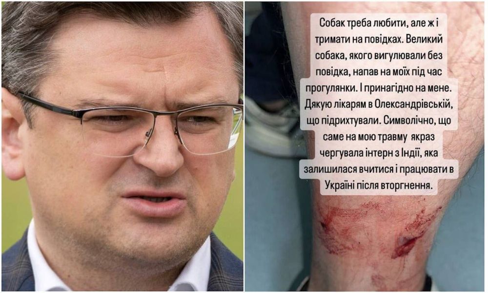 Главу украинского МИД Кулебу покусала собака