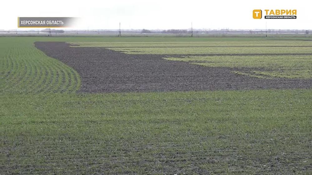 � ���������� ������� ���������� ����� �������� ��������