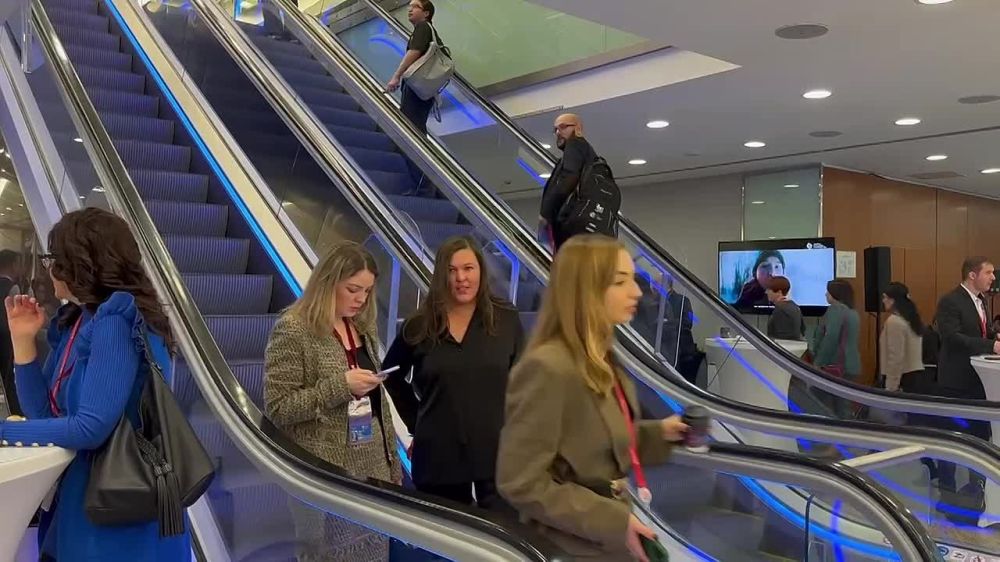 ��������� ������ ���� ������ ������� ����������