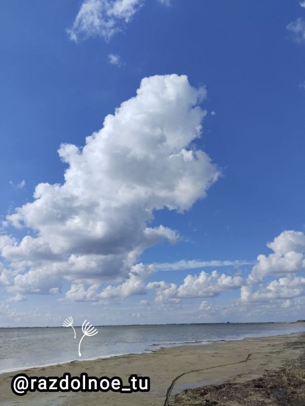 ����������� ���� �������� ���������, ���� ������ ���� ��� ����� �������� �����