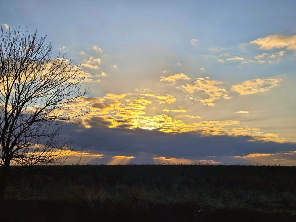 �������� ������ ���� ��� ��������� �������