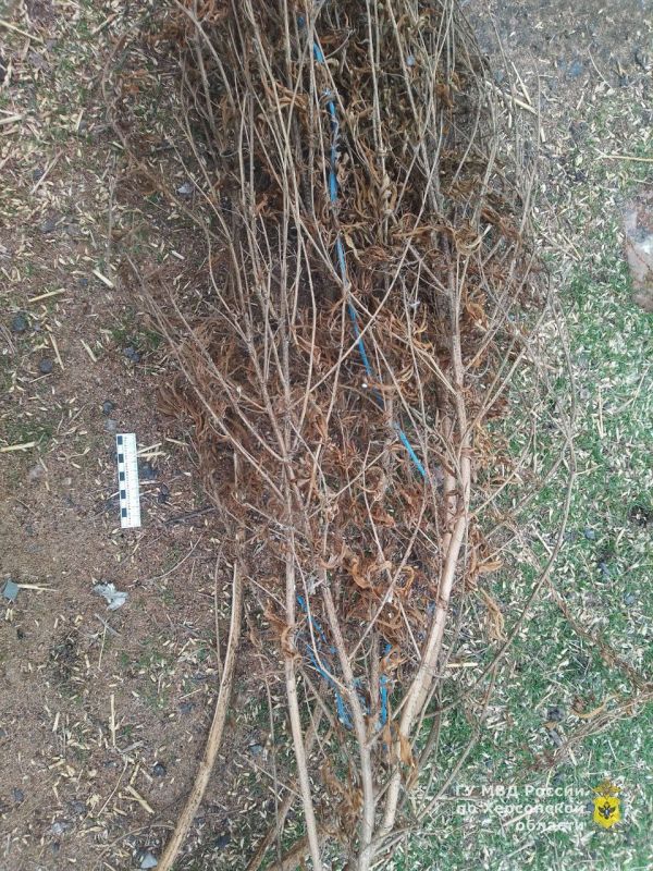 � ���������� ������ ���������� ������� ���������� � ������������ �������� ������ ���������� ���� �������