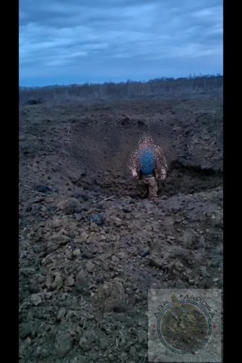 ��� ������: ���������� �����������. ��������� ���-�� ����� � ������. ����� �� ���������