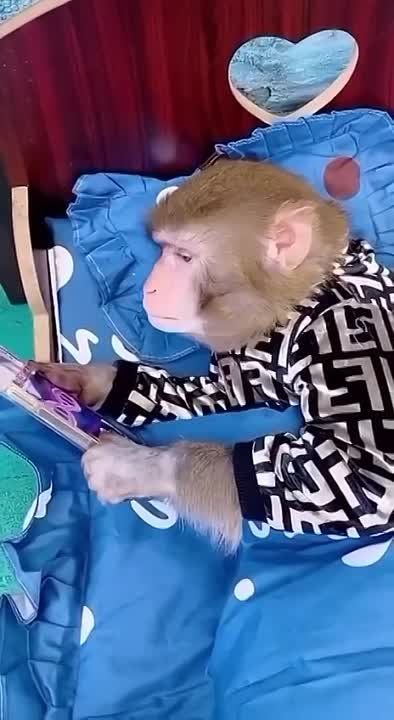 ������� �����. ������� � ���� ��. ���������