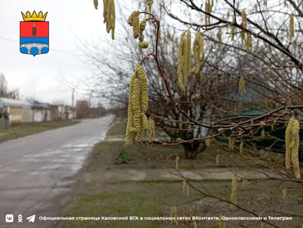 ������ ����, �������!. @VGA_Kakhovka