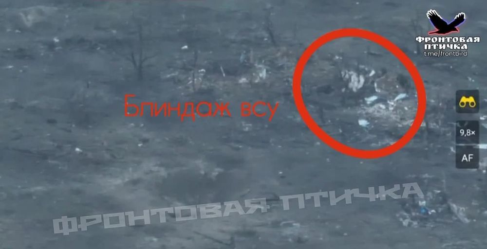 ����������� �������� ���. ������