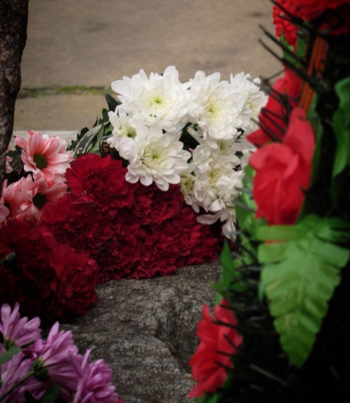 � ������� ���� ���� ������ -�������