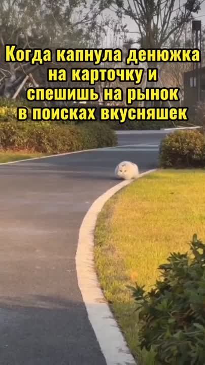 #������������