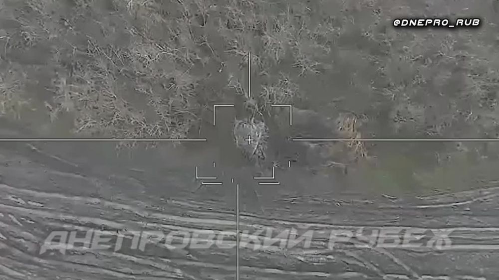 ����� �����: ����������� ����� "�����". ���������� �����������. ������ ����� ������, ������������� �������